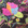 0310-B52 - Image 3