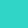 100RG-TUR - Image 4